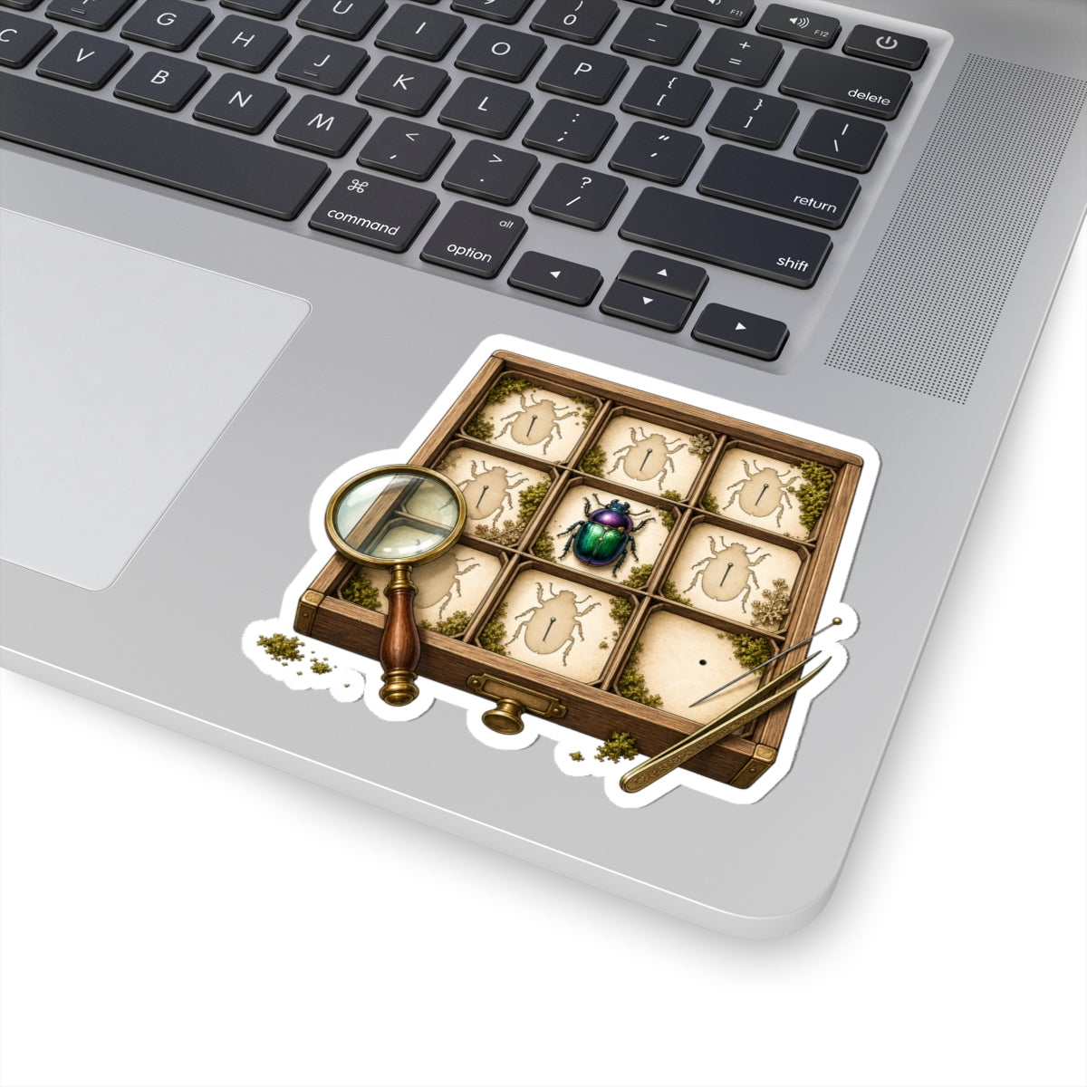 Tiny Beetle Inventory Entomology Sticker