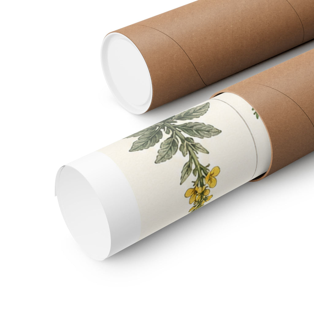 Herbarium Specimen Grid Poster