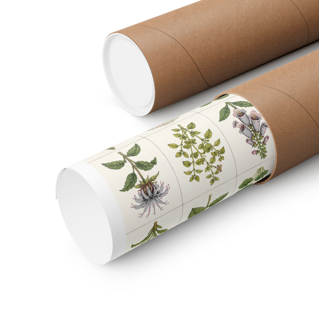 Herbarium Specimen Grid Poster