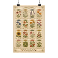 Vintage Seed Catalog Wall Poster