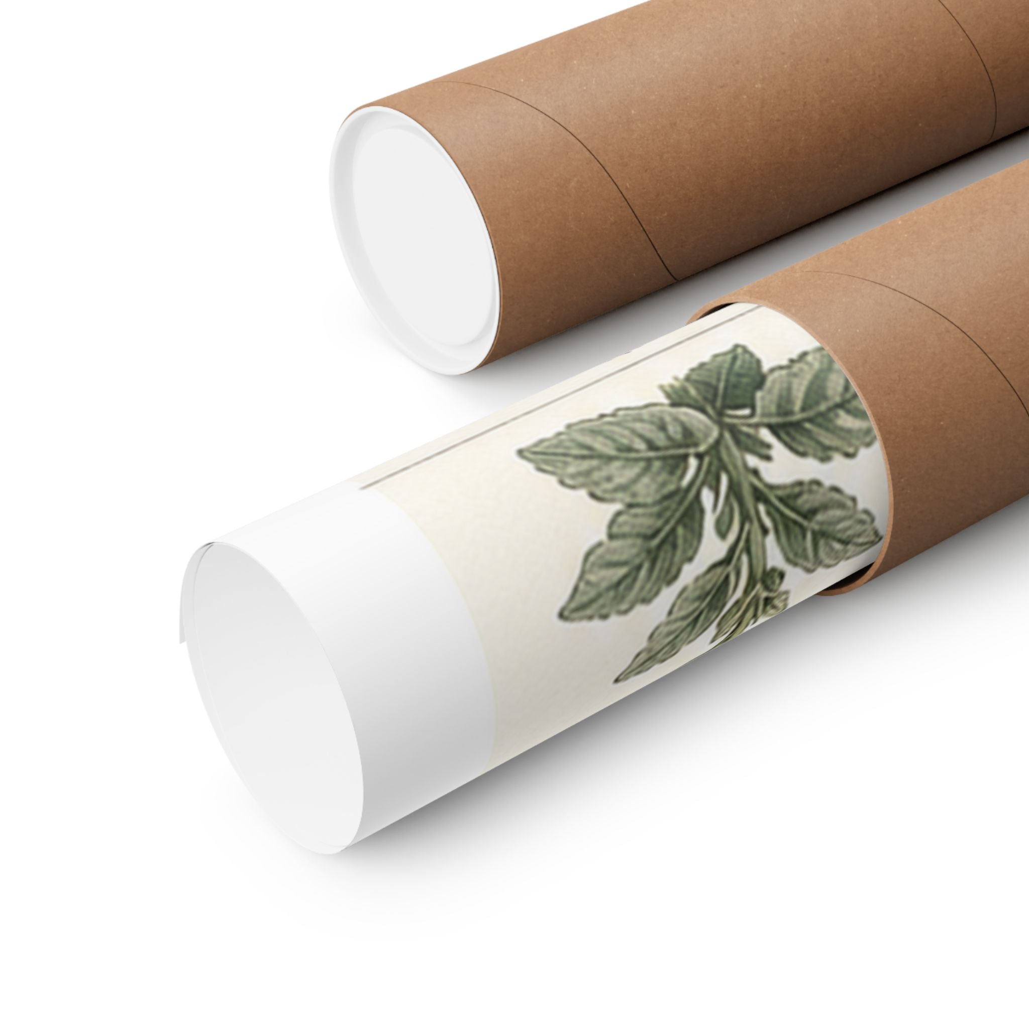Herbarium Specimen Grid Poster